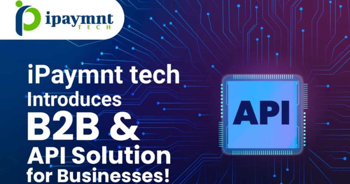 IPayment Tech introduces B2B & API Solution for Businesses